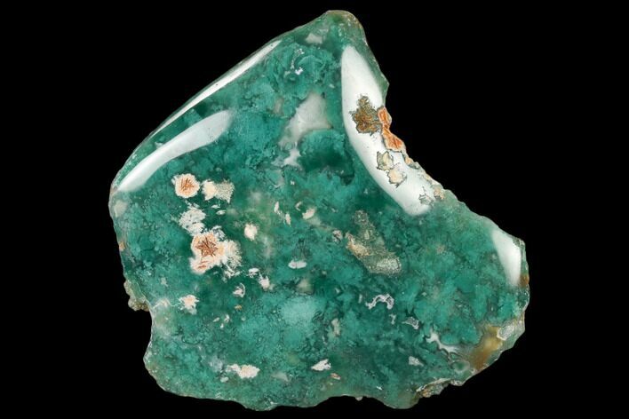 Polished Mtorolite (Chrome Chalcedony) - Zimbabwe #115542